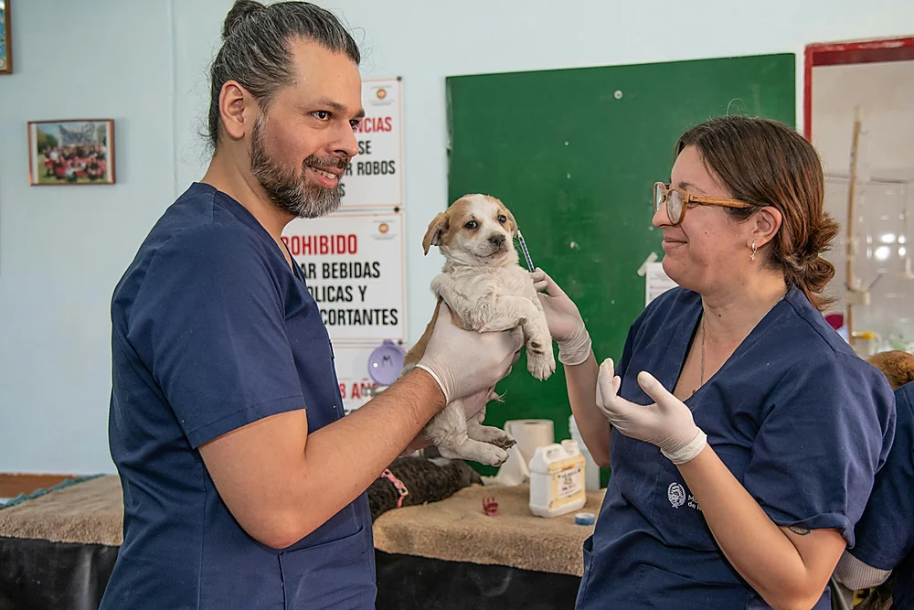 Un veterinario y una veterinaria sonríen mientras sostienen a un cachorro pequeño durante una revisión